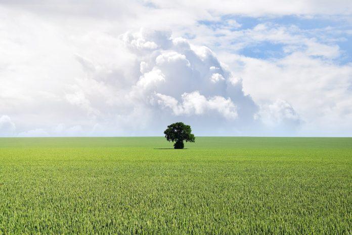 land