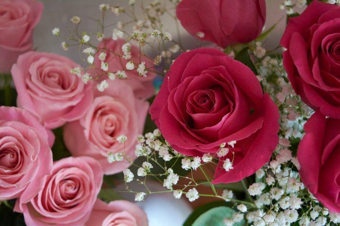 bouquet