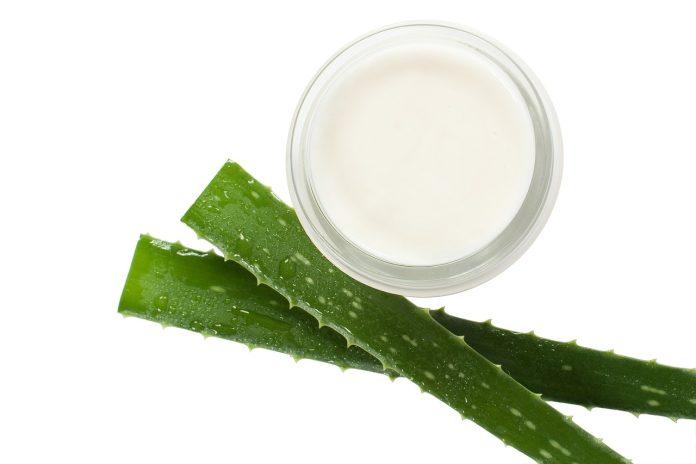 beneficii aloe vera pentru piele