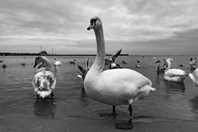 pozitii poze instagram