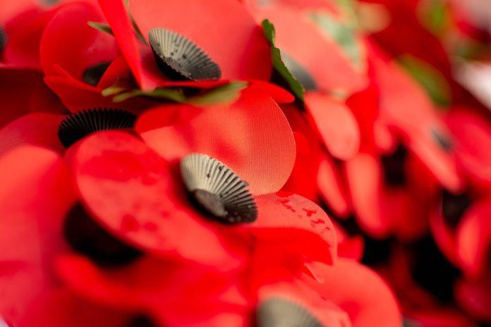 ziua armistitiului