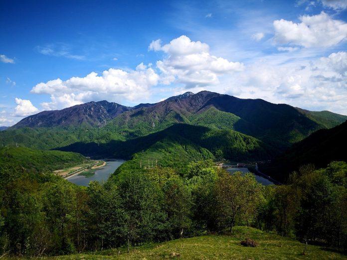 ziua olteniei