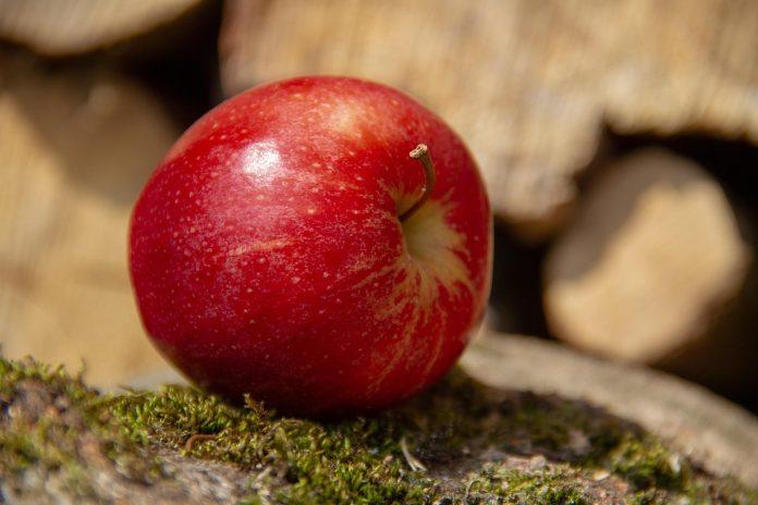 ziua mondiala a alimentatiei sanatoase